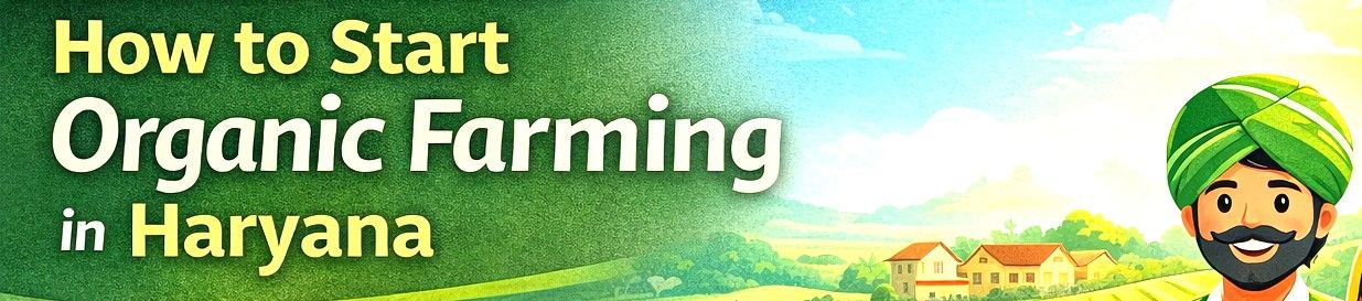 How to Start Organic Farming in Haryana with PGS Certification