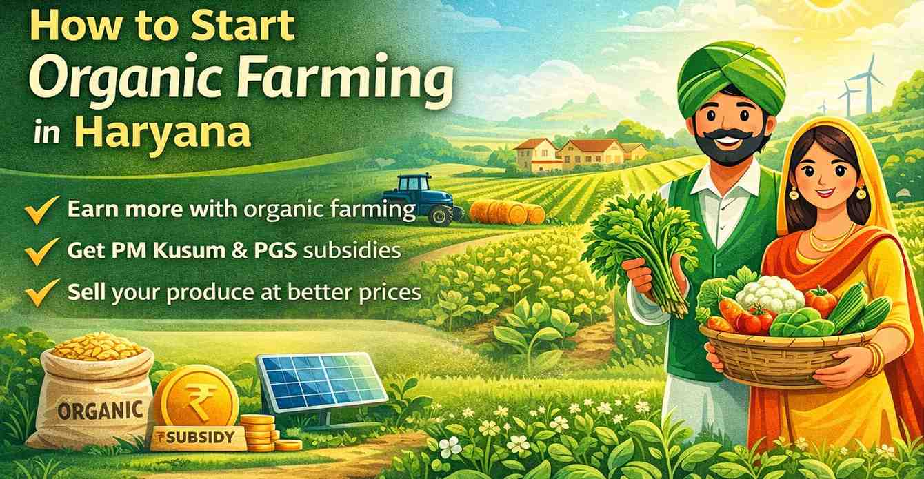 Organic farming in Haryana step by step guide with PGS certification and government subsidy